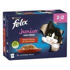 Felix Le Ghiottonerie Kitten Selezioni Deliziose Manzo e Pollo 72 pz x 85 gr