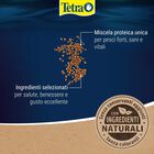 Tetra Discus Granules 250 ml