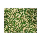 Askoll Pure Sand Goblin 4Kg image number 0