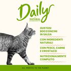 Almo Nature Daily Cat Adult Agnello e Vitello 70gr