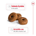 Royal Canin Dog Medium Senior 10+  15 kg