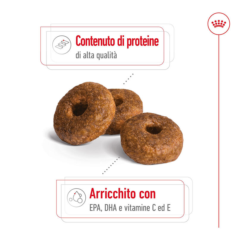 Royal Canin Dog Medium Senior 10+  15 kg