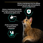 Purina Pro Plan Sterilised Teneri Pezzetti In Gelatina Con Pesce Dell'oceano 85g