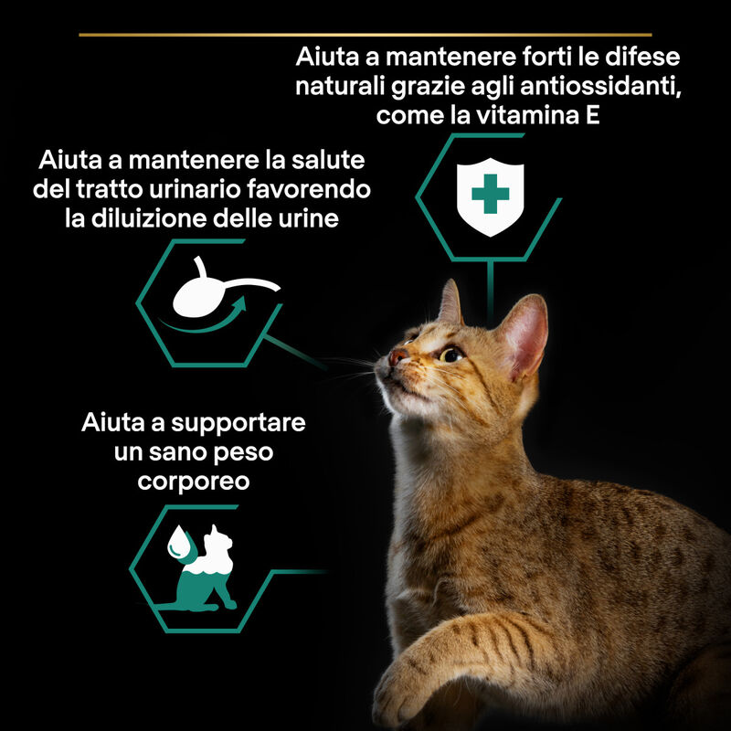 Purina Pro Plan Sterilised Teneri Pezzetti In Gelatina Con Pesce Dell'oceano 85g
