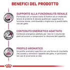 Royal Canin Veterinary Diet Cat Renal 2 kg