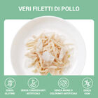 Schesir Cat Filetti di Pollo con Spigola in Gelatina 70g