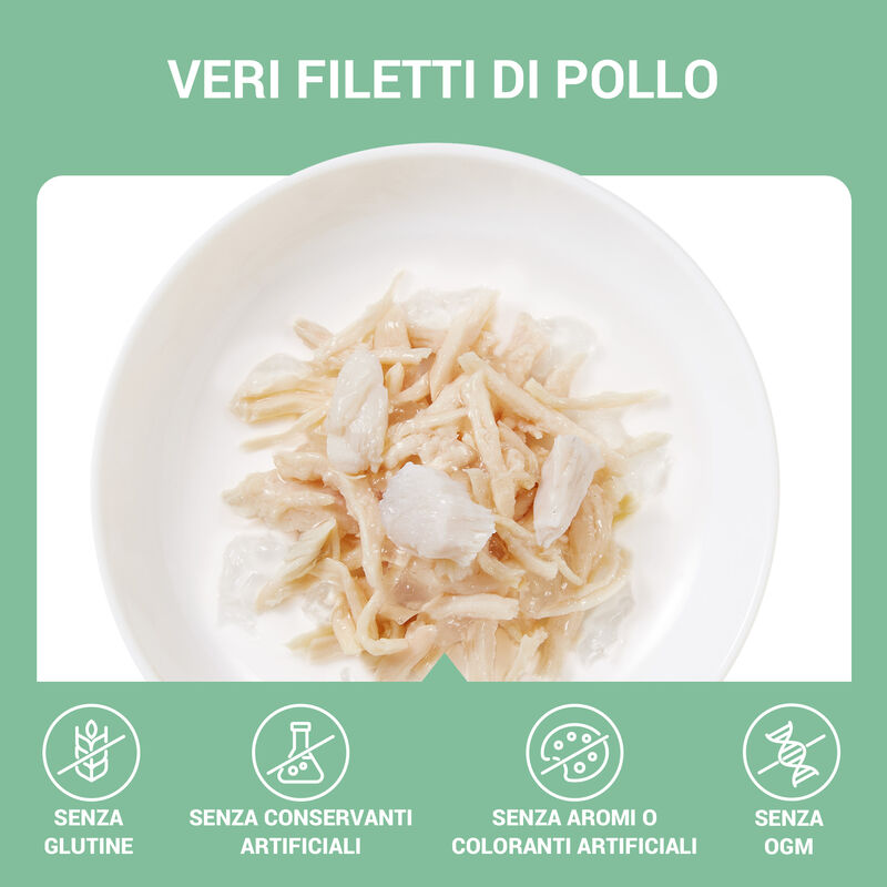 Schesir Cat Filetti di Pollo con Spigola in Gelatina 70g