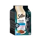 Sheba Cat Adult D&eacute;lice du Jour Taste of Tokyo 6 pz x 50 gr