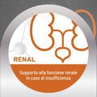 Forza 10 Active Vet Diet Renal per gatti adulti al Pesce 1,5 kg