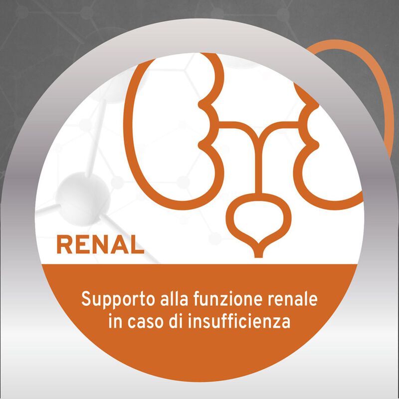 Forza 10 Active Vet Diet Renal per gatti adulti al Pesce 1,5 kg