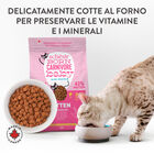 Schesir Born Carnivore Kitten Pollo con Uovo 1,25 kg