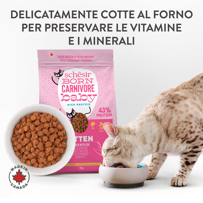 Schesir Born Carnivore Kitten Pollo con Uovo 1,25 kg