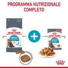 Royal Canin Cat Adult Urinary Care Gravy 85 gr