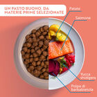 Monopro Dog All breeds Salmone 10 kg
