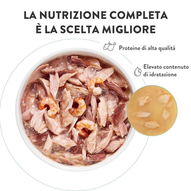 Schesir Complete Nutrition Cat Tonno e alicette jelly 140g