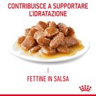 Royal Canin Cat Adult Hair&Skin in Salsa 85gr