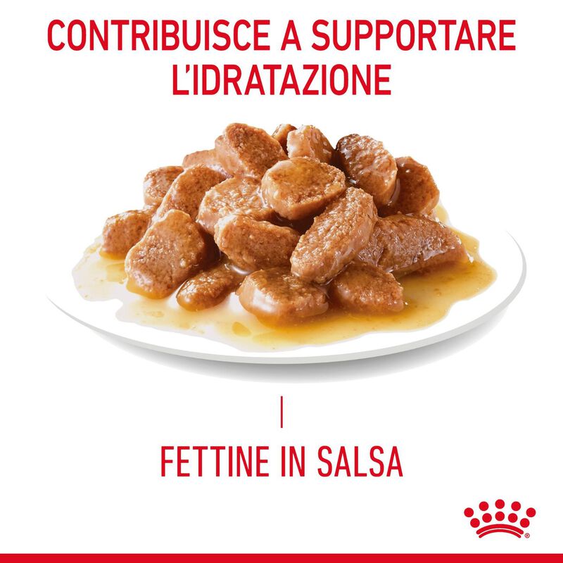 Royal Canin Cat Adult Hair&Skin in Salsa 85gr
