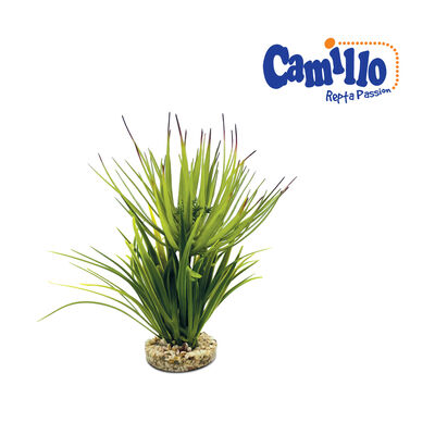 Camillo Repta Passion Pianta artificiale per terrari 23 cm