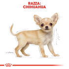 Royal Canin Dog Puppy Chihuahua 500 gr