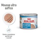 Royal Canin Dog Adult e Puppy Starter 195 gr