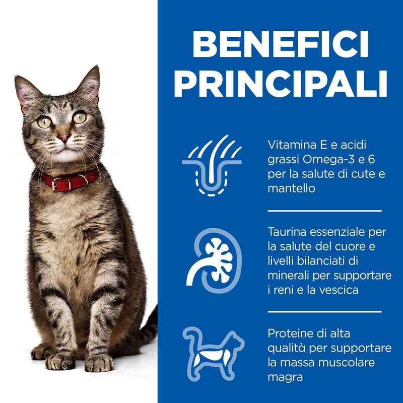 Hill's Science Plan Cat Adult al Pollo 10 kg