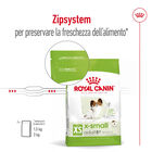 Royal Canin Dog Adult 8+ X-Small 500 gr