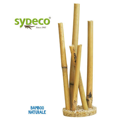 Sydeco Decorazione Bamboo XL 38 cm