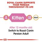 Royal Canin Cat Kitten Persian 400 gr