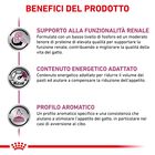 Royal Canin Veterinary Diet Cat Renal con Manzo 12x85 gr