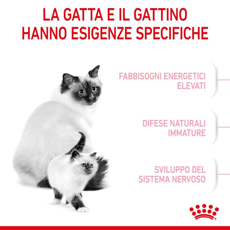 Royal Canin Cat Adult e Kitten Mother and Babycat 2 kg