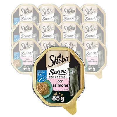 Sheba Cat Sauce Collection con Salmone 85 gr