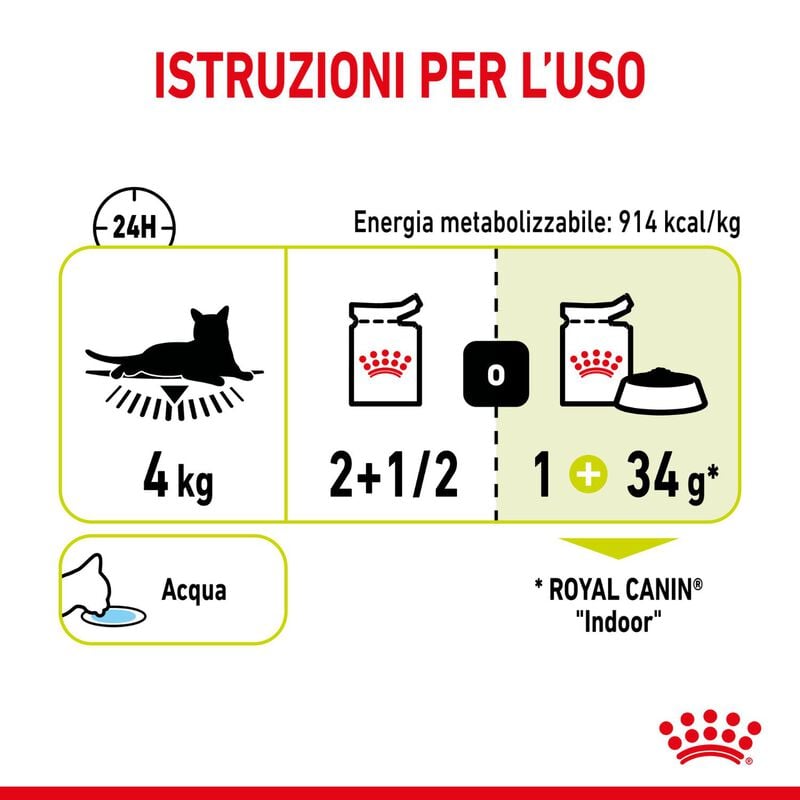 Royal Canin Cat Adult Sensory Smell Jelly 85 gr Royal Canin Cat Adult Sensory Smell Jelly 85 gr