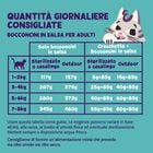 Edgard & Cooper Cat Adult Bocconcini in Salsa Tacchino e Pollo 85 gr