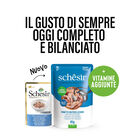 Schesir Cat Tonnetto con Pesce Azzurro in jelly 85 gr