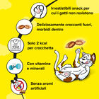 Catisfactions Snack Cat Salmone e Formaggio 60 gr