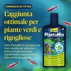 Tetra Crypto 10 Compresse