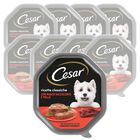 Cesar Dog Ricette Classiche Manzo e Pollo 150 gr