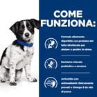 Hill's Prescription Diet Dog i/d Stress Digestive Care Spezzatino 156 gr