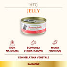 Almo Nature HFC Cat Jelly Salmone 70g
