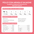 Schesir Born Carnivore Kitten Pollo con Uovo 255gr