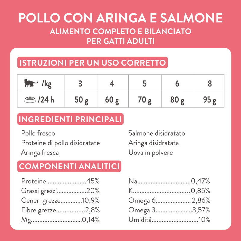 Schesir Born Carnivore Kitten Pollo con Uovo 255gr