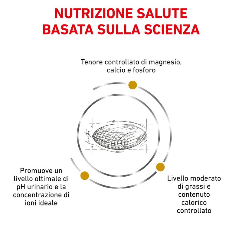 Royal Canin Veterinary Diet Urinary Small Dog 4 kg