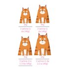 Petreet Cat Adult Tonno rosa con Carote 140 gr