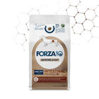 Forza 10 Dog Mini&Toy Intestinal Colon Fase II 1,5 kg