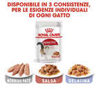 Royal Canin Cat Adult Instinctive Gravy 85 gr