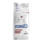 Forza10 Active Dog Adult Dermo Active 10 kg