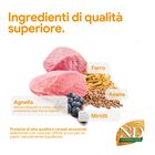 N&D Farmina Ancestral Grain Puppy Medium & Maxi Agnello e Mirtillo 2,5 kg