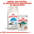 Royal Canin Cat Senior Indoor 7+ 400 gr