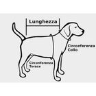Hunter Impermeabile per cani Uppsala Cozy nero e rosso tg. 30