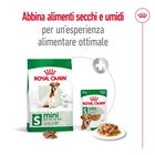 Royal Canin Dog Mini Adult +8, 8kg Royal Canin Dog Mini Adult +8, 8kg